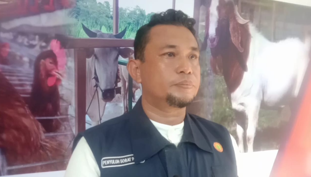 foto: Kadis Pertanian dan  Ketahanan Pangan Kabupaten Morowali, Andi Irman, S.STP., M.M.