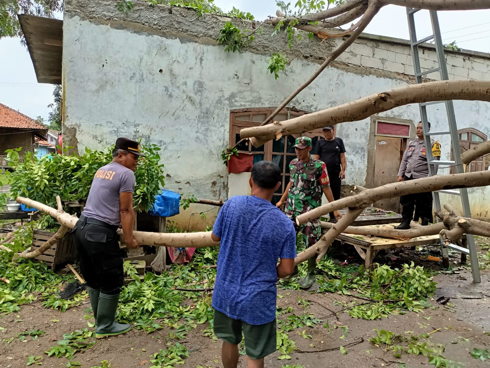 foto: Polsek Muara Gembong evakuasi pohon tumbang