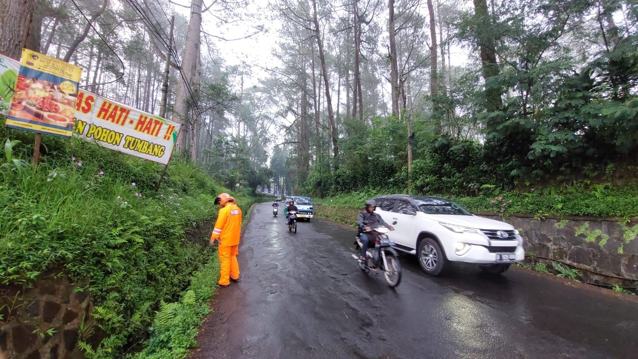 foto: Tim SAR Sat Brimob Polda Jabar cek pohon rawan tumbang