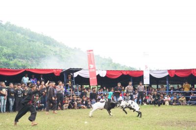 foto: Pembukaan Kejuaraan Kapolda Jabar Cup Seni Ketangkasan Domba